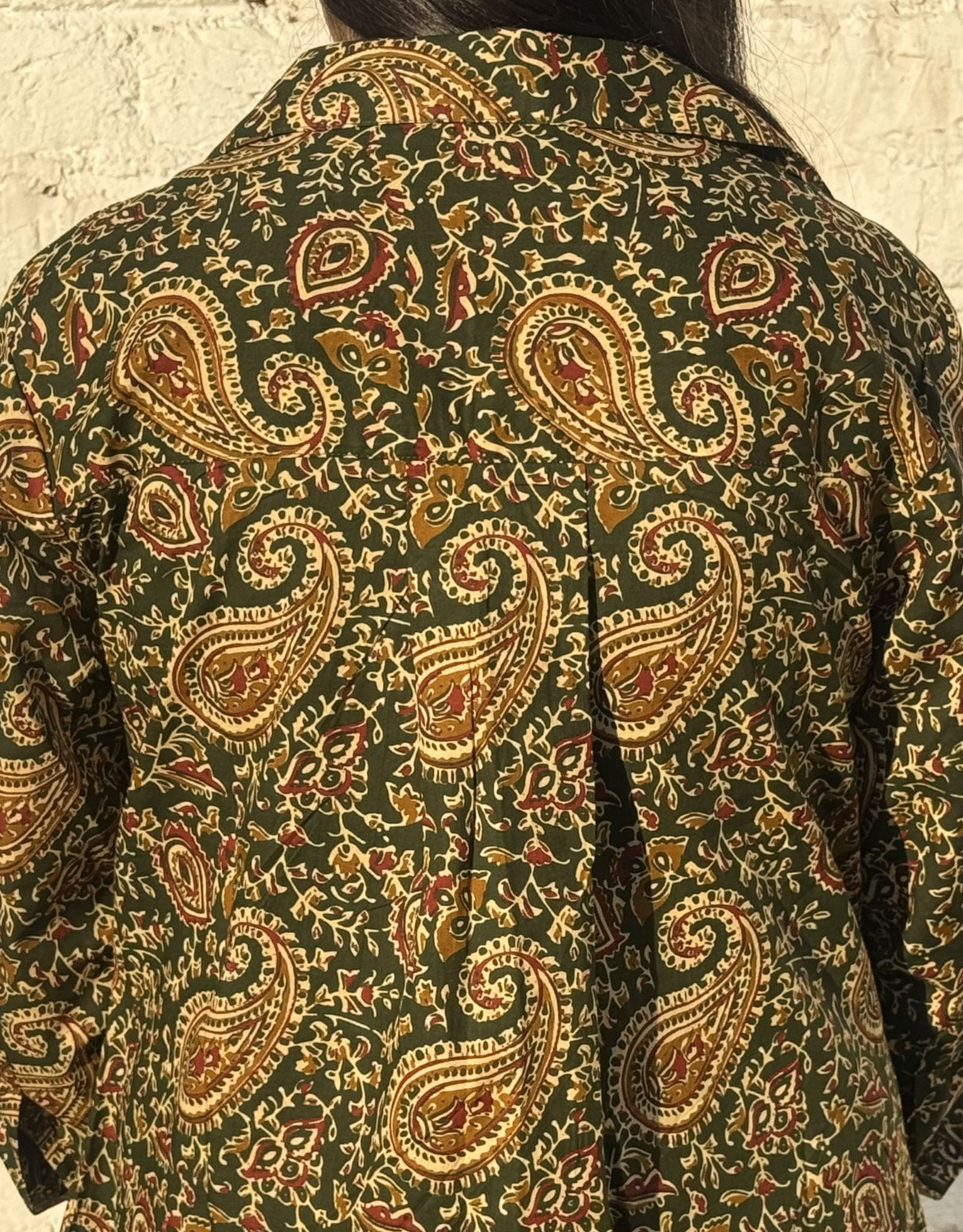 Banglore Garden Paisley Cotton Regular Fit Dress